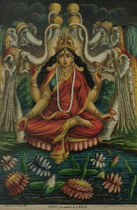 Mahavidya Kamala