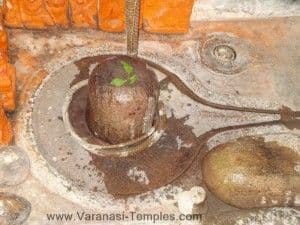 Aashadhishwar Mahadev