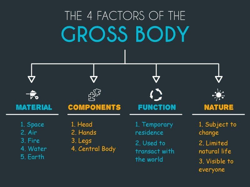 What is Gross Body ?