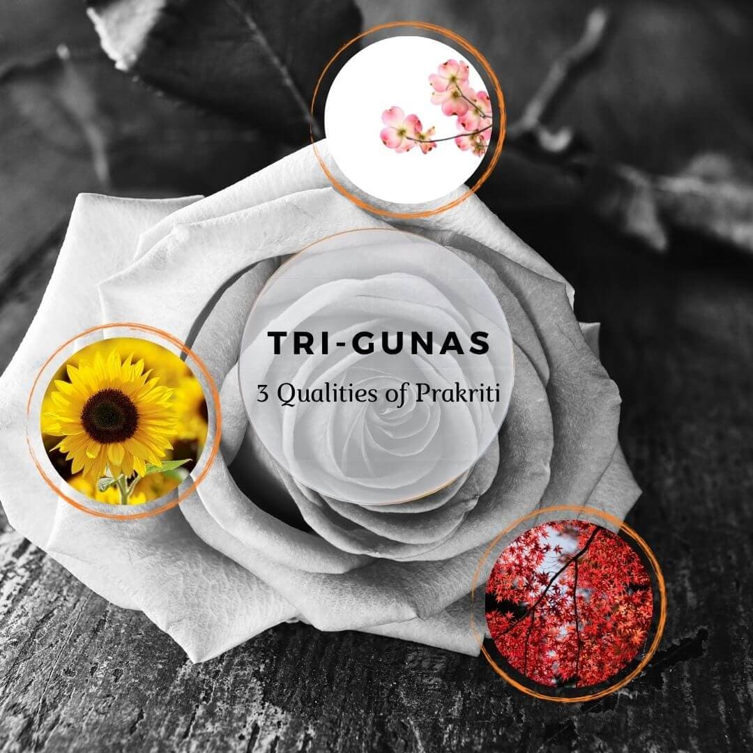 Tri Guna