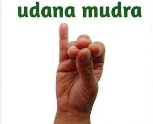 What is Udana?