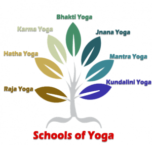Different Schools of Yoga
